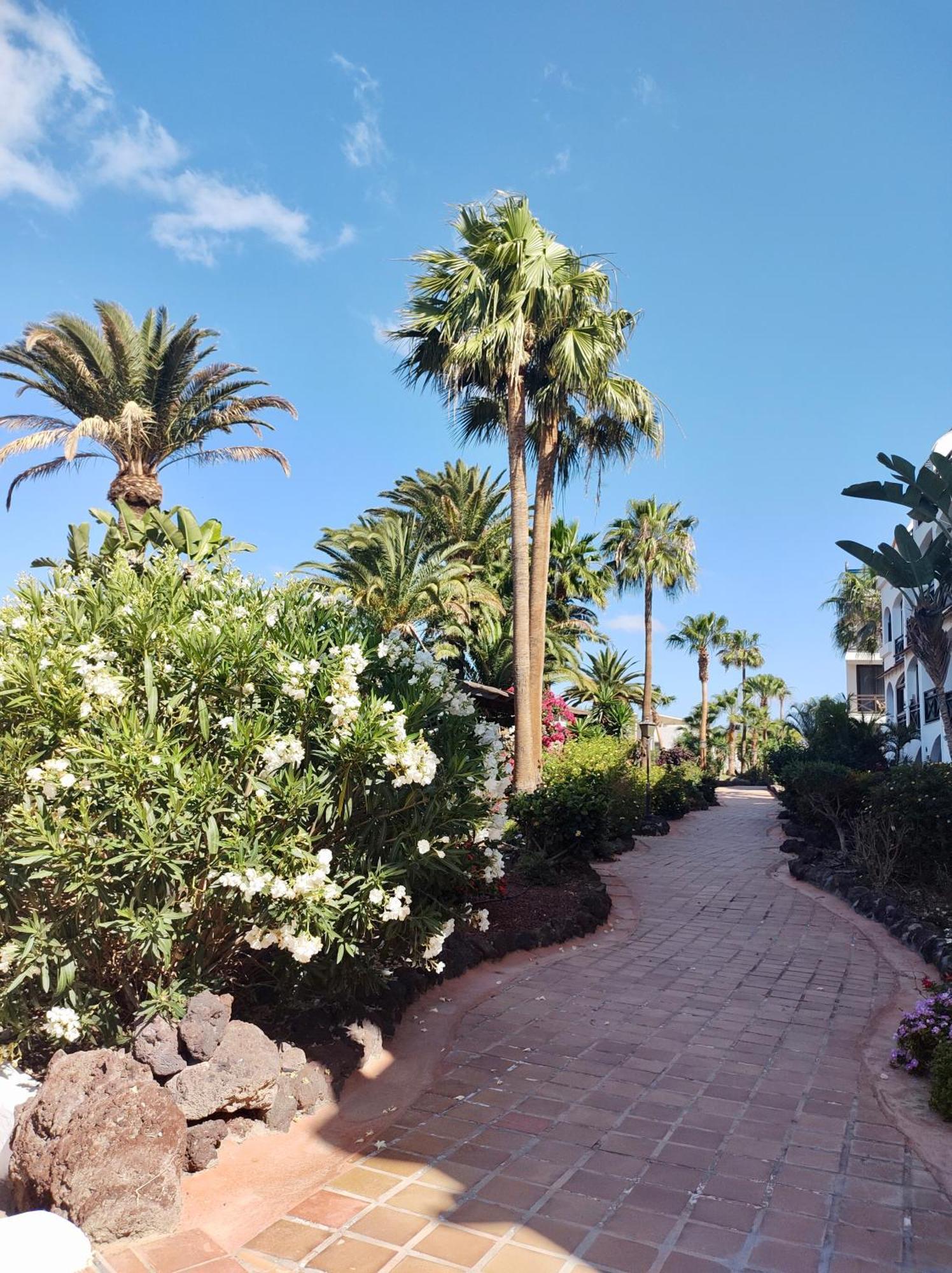 Pinehurst Ii Appartement San Miguel de Abona